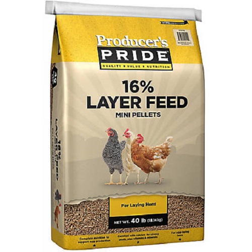 Chicken Feed for sale